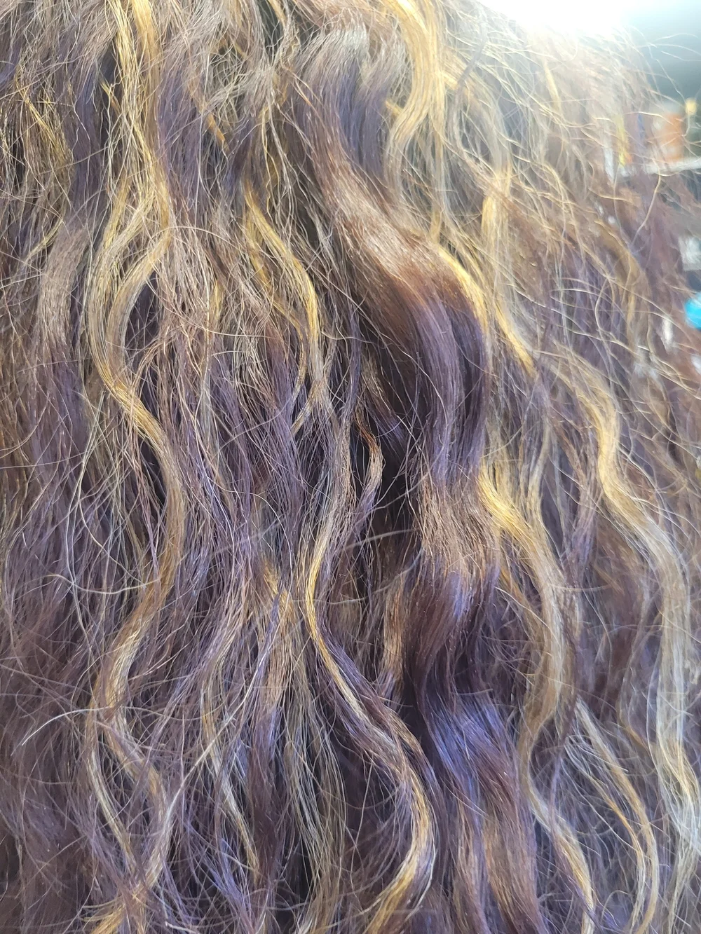 Realistic Synthetic Curly Lace-Front in Brown with Honey Blonde Highlights